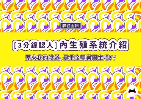 女性私處|【圖輯】陰道、子宮、卵巢！12 張圖搞懂女性內生殖。